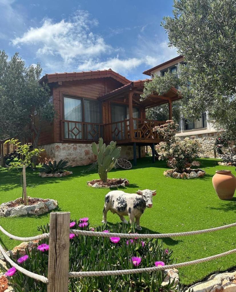 Doganin Ruhu Hotel & Bungalow Kaş Kültér fotó
