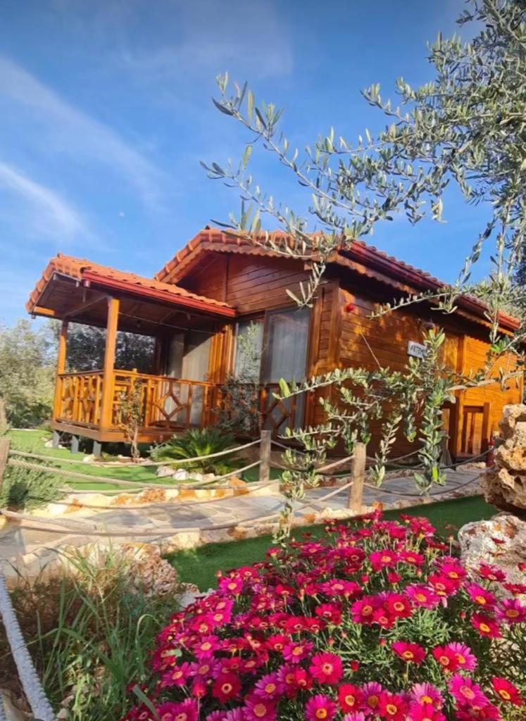 Doganin Ruhu Hotel & Bungalow Kaş Kültér fotó