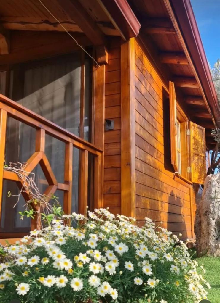 Doganin Ruhu Hotel & Bungalow Kaş Kültér fotó